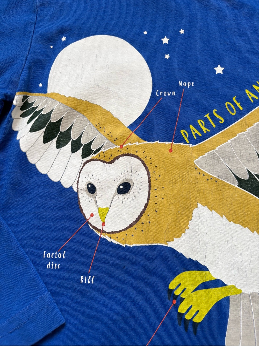 Mini Boden | Royal Blue Owl Education Graphic Top | Long-Sleeve Tee | 3-4 - Picture 3 of 7